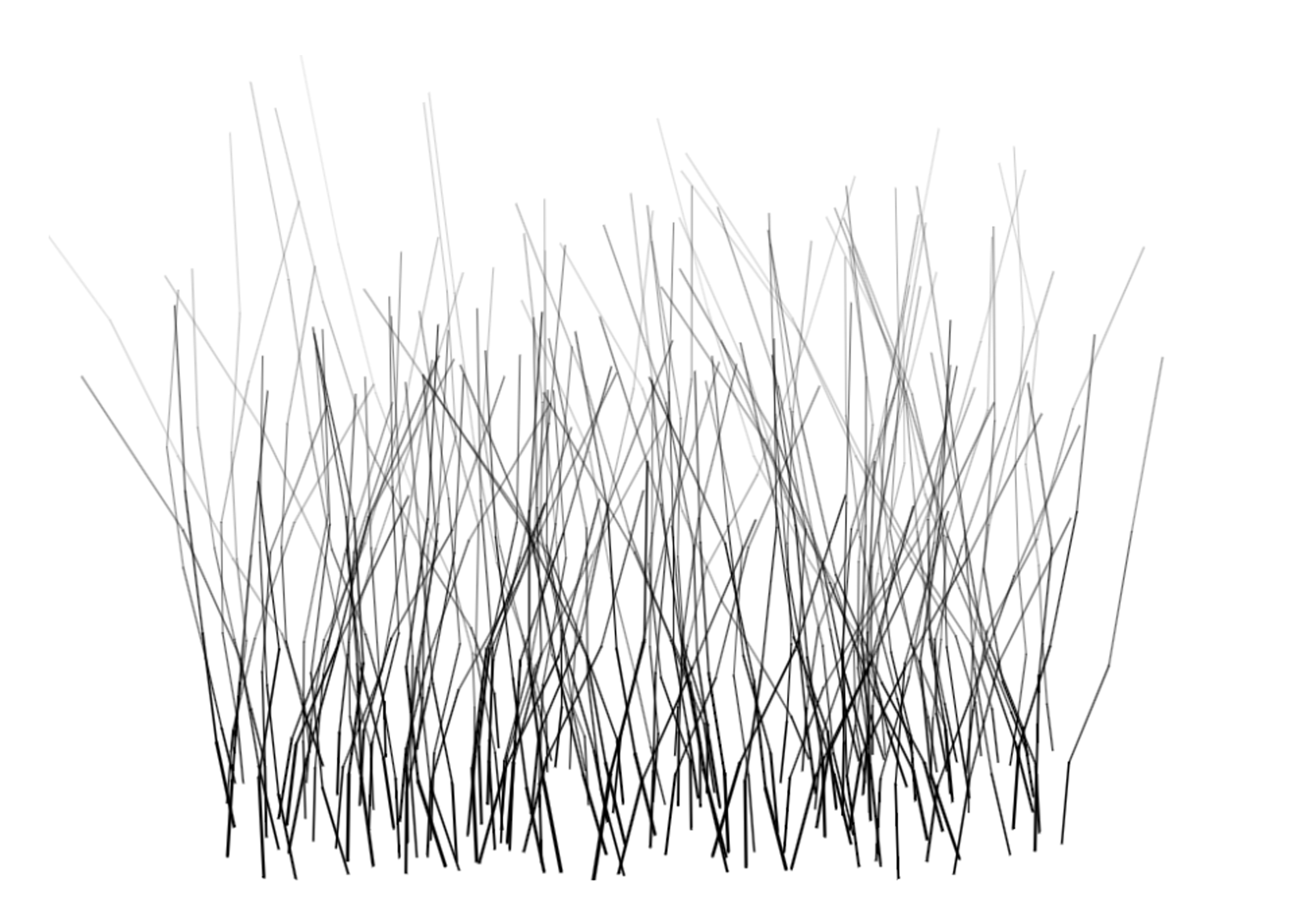 RANDOM BLOWN GRASS